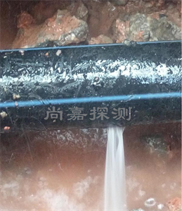 枣阳消防管道漏点探测